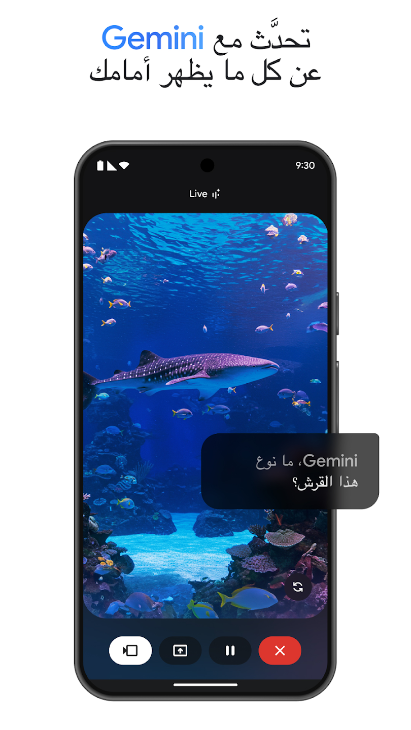 لقطة شاشة 1